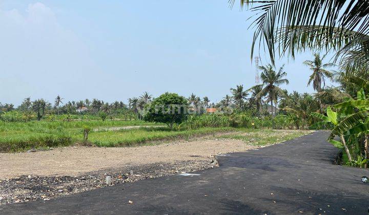 Dijual Tanah Kavling Murah Di Pering Gianyar 1