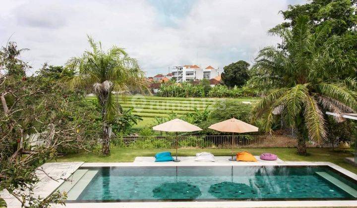 Luxury Villa With Rice Field View In Umalas Badung 2