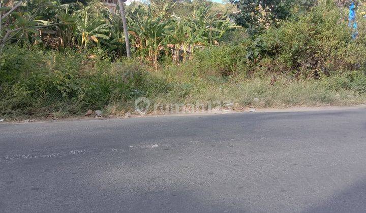 Dijual Tanah Murah Depan Pantai di Nusa Penida 1