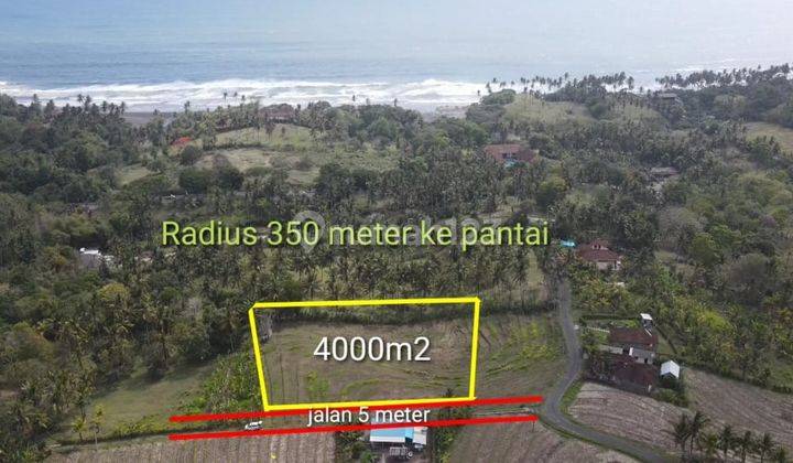 Cheap land for sale with sea views in Antap, Tabanan 2