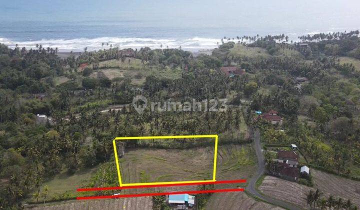 Cheap land for sale with sea views in Antap, Tabanan 1