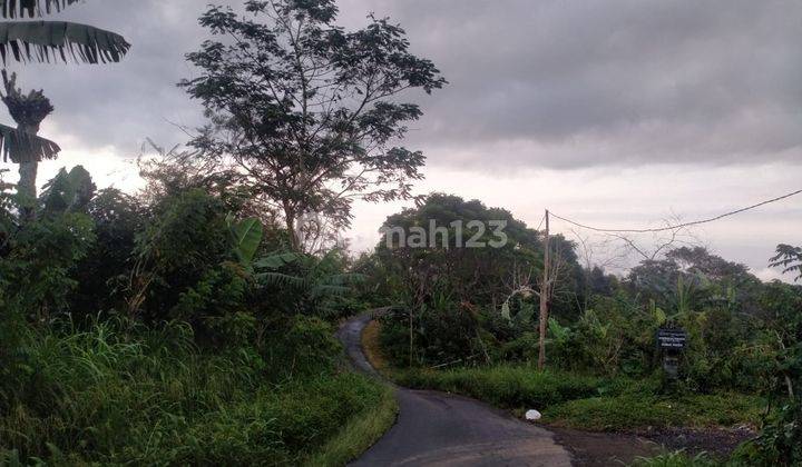 Dijual Tanah Murah Area Villa di Bedugul 2