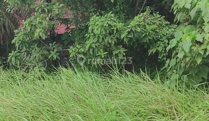 Cheap land for sale in Villa area in Mas Ubud 1