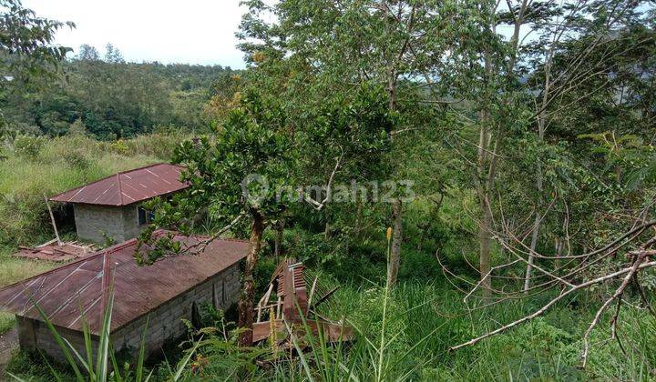 Cheap land for sale with lake mountain views in Kintamani 1