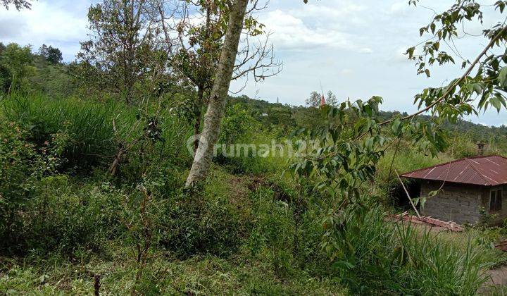 Cheap land for sale with lake mountain views in Kintamani 2