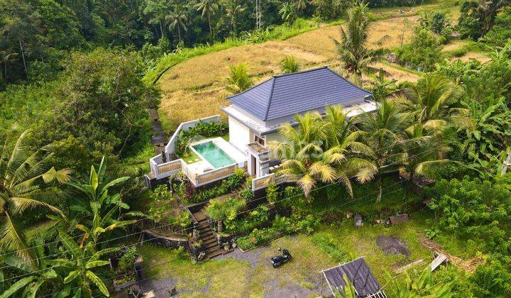 For sale Modern Villa with Rice Field View in Tampaksiring Ubud 2