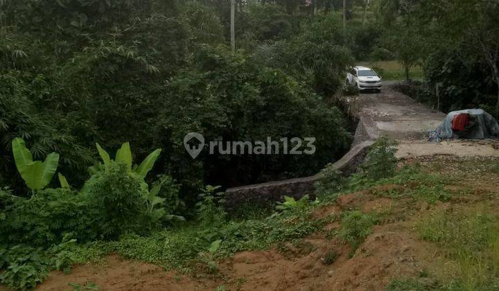 Cheap land for sale with rice field views in Pejeng Ubud 2