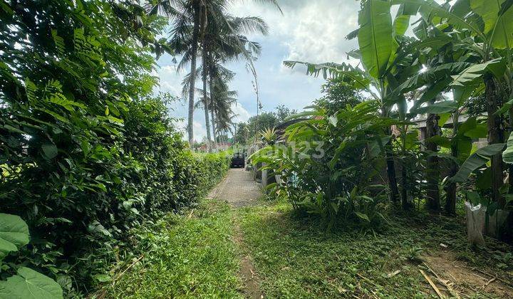 Dijual tanah view jungle los sungai di Mas Ubud 1