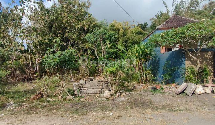 Dijual Tanah Murah di Jalan Mundeh Kutuh 1