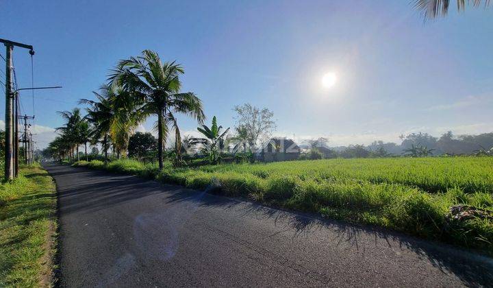 Tanah Kavling Murah Premium di Kemenuh Ubud