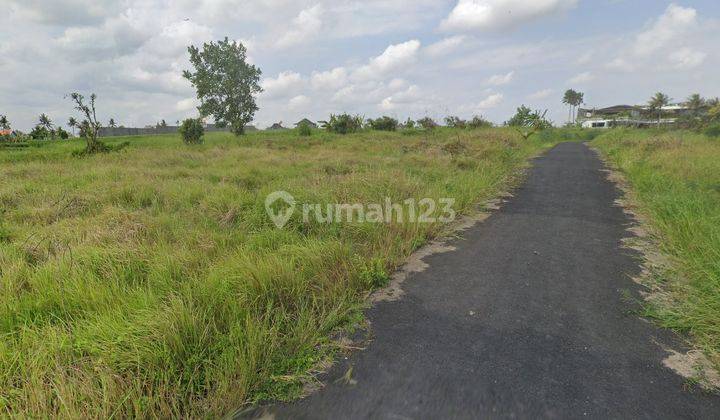 Dijual Tanah Kecil View Sawah Dan View Laut di Pantai Seseh 2