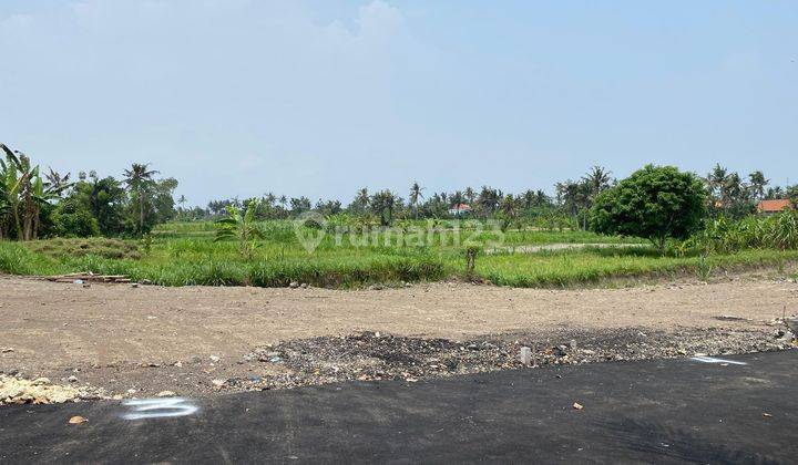 Dijual Tanah Kavling Murah Di Pering Gianyar 2