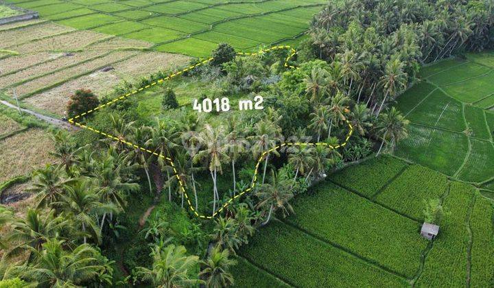 Dijual Tanah Los Sungai Dan View Sawah di Lodtunduh Ubud 1