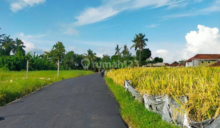 Land for sale with rice field view located in Belalang Beach, Kedungu, Tabanan 2