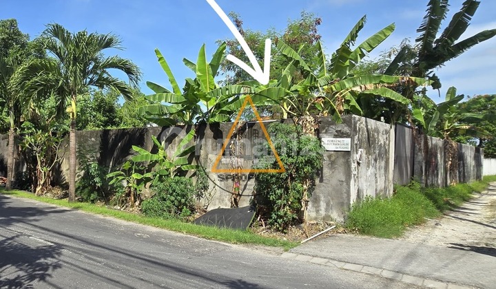 Tanah Langka di Canggu Posisi Hook Dan Di Jalan Utama Tanah Langka di Canggu Posisi Hook Dan Di Jalan Utama