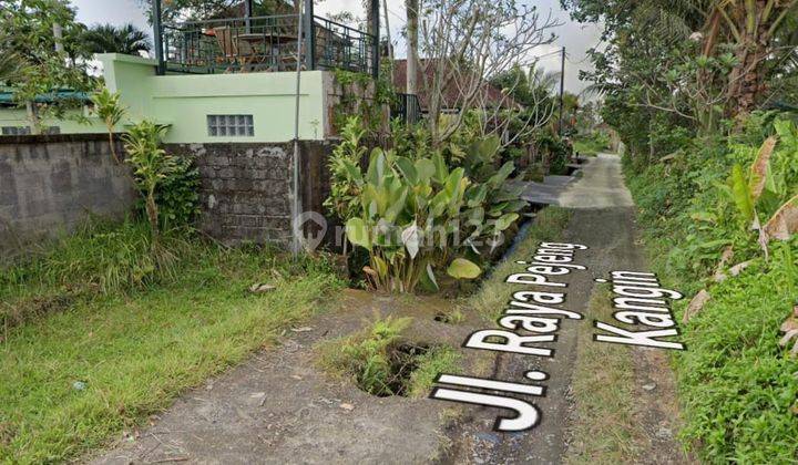 Dijual Tanah Murah Kawasan Villa Lokasi di Pajeng Kangin Ubud 2