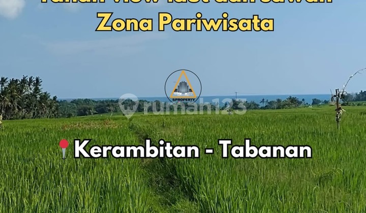 Tanah Ocean View Lokasi Tibu Biyu Kerambitan Tabanan Bali