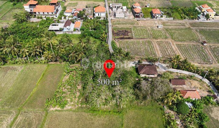 Land for Sale with Rice Field View in Singakerta Ubud 1