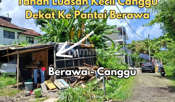 Dijual Cepat Tanah Luasan Kecil di Canggu Berawa Dijual Cepat Tanah Luasan Kecil di Canggu Berawa