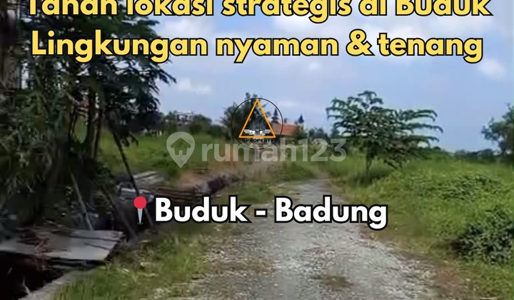 For Quick Sale Land Location Buduk Near Canggu Bali