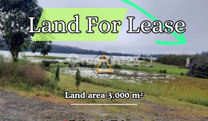 Disewakan Tanah Los Danau di Jantung Wisata Bedugul