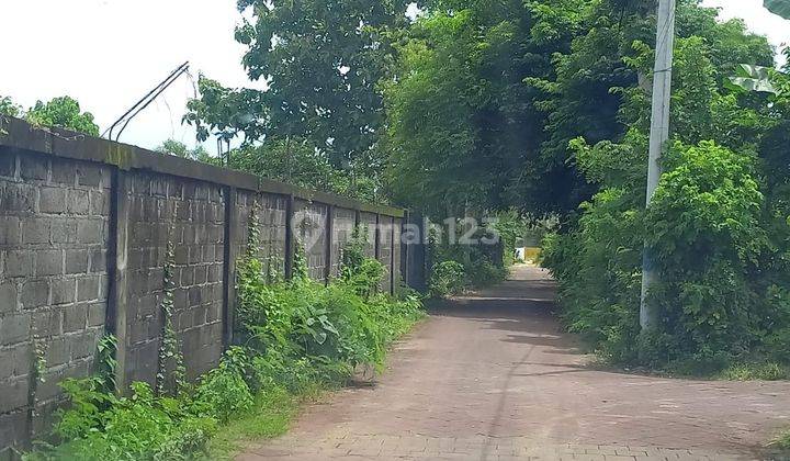 Tanah Murah Dekat Pantai Melasti Ungasan Kuta Selatan 1