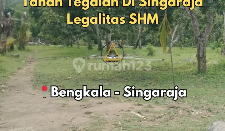 DIJUAL CEPAT TANAH TEGALAN BERLOKASI DI DESA BENGKALA SINGARAJA