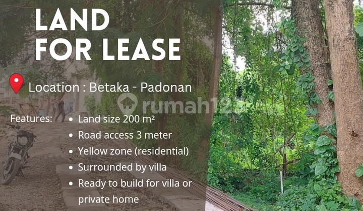 Land For Lease In Betaka - Padonan Suitable For Building Villa Land For Lease In Betaka - Padonan Suitable For Building Villa