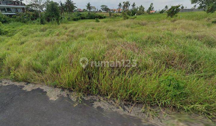 Dijual Tanah Kecil View Sawah Dan View Laut di Pantai Seseh 2