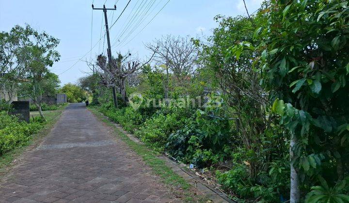 Cheap Land for Sale in Commercial Villa Area in Ungasan 2