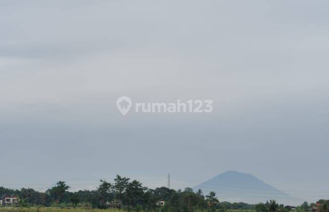 Dijual Tanah Kavling Exclusif View Sawah Dan Gunung di Kedungu 1