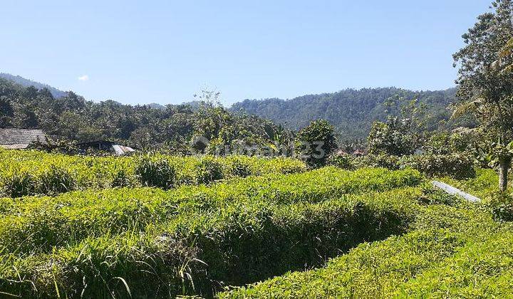 Dijual Tanah Murah View Perbukitan di Sedimen Talibeng 1