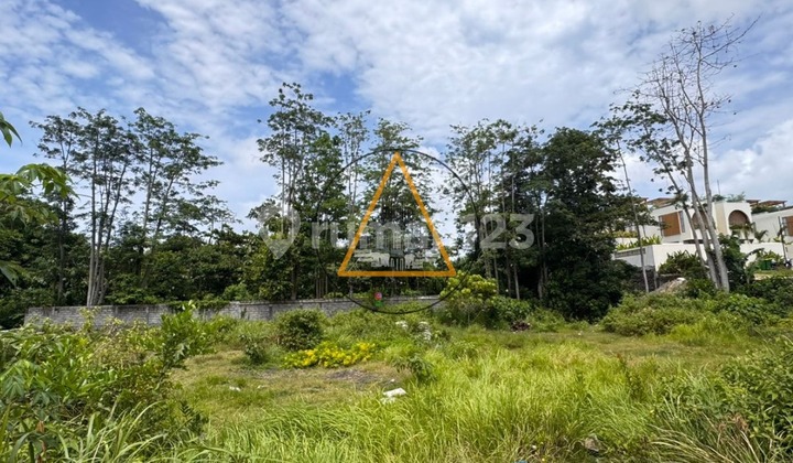 Tanah Untuk Disewa Melalui Kontrak Di Bawah Harga Pasar Tanah Untuk Disewa Melalui Kontrak Di Bawah Harga Pasar