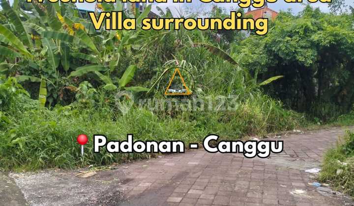 Freehold Land Villa Surrounding In Canggu Area