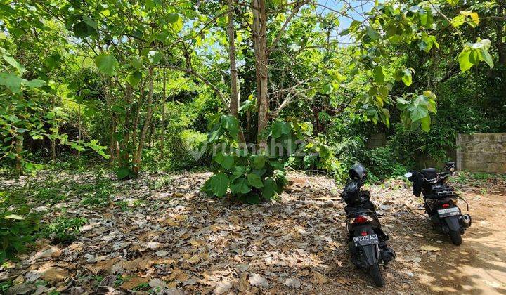 Dijual Tanah Strategis Dekat Dengan Kampus Poltek Jimbaran 2