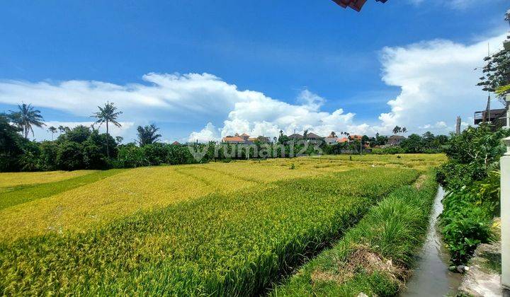 For Sale 1 Floor Villa with Rice Field View in Babakan Canggu 2