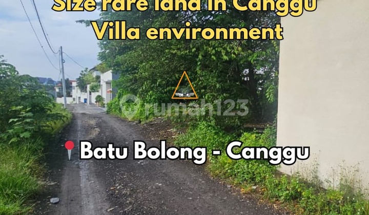 Size Rare Land For Freehold / Leasehold In Batu Bolong Canggu