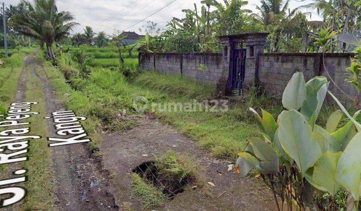 Dijual Tanah Murah Kawasan Villa Lokasi di Pajeng Kangin Ubud 1