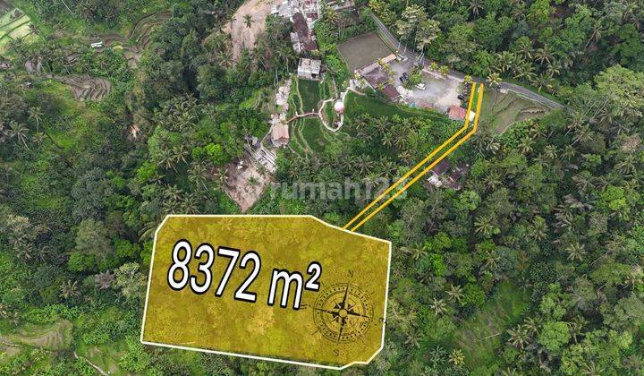 For Sale Land View Jungle Rice Fields In Tegallalang Ubud 2