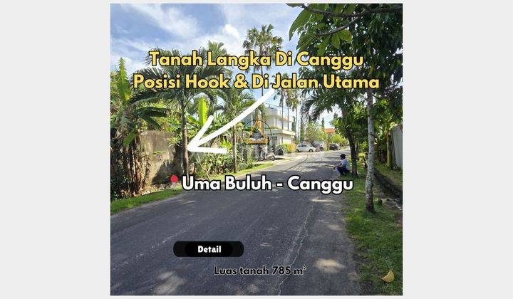 Tanah Jual di Dekat Villa Canggu
