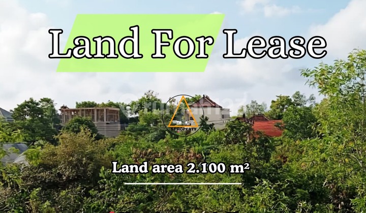 Land for lease with sea view in a quiet location Land for lease with sea view in a quiet location