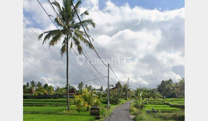 Tanah Kawasan Premium di Jalan Cinta Ubud 2