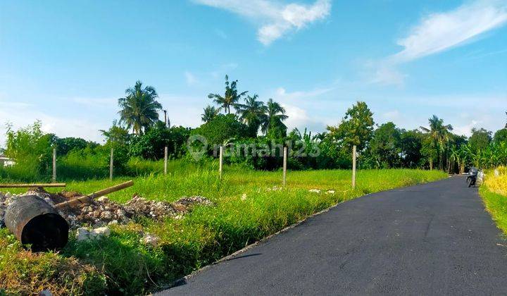 Land for sale with rice field view located in Belalang Beach, Kedungu, Tabanan 1