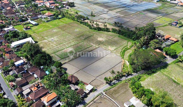 Dijual Tanah Kavling Murah di Kaba Kaba Tabanan 1