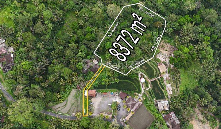 For Sale Land View Jungle Rice Fields In Tegallalang Ubud 1