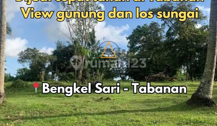 For Quick Sale Land with Mountain View and River Access in Tabanan