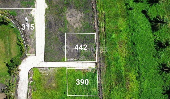 3 Plot Tanah Kavling di Komplek Elite Lokasi Kedungu 2