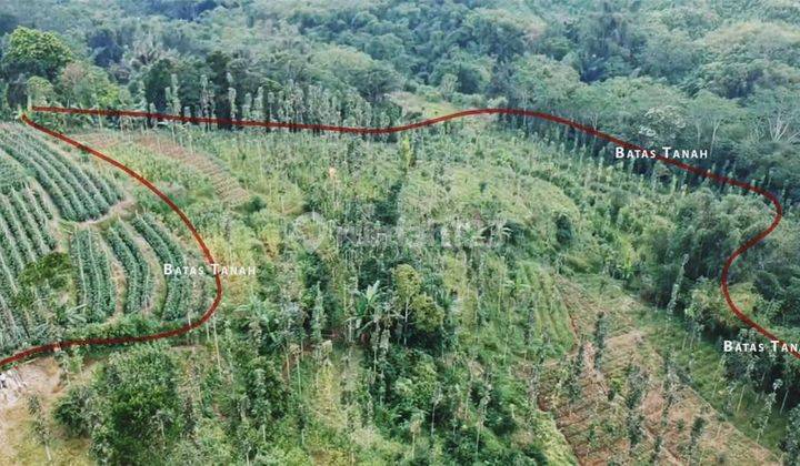 Dijual Tanah Murah View Gunung Dan Bukit di Baturiti Bedugul 2