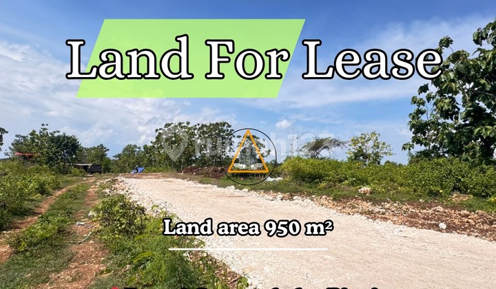 THE ONE ONLY ONE CHEAP PRICE LAND FOR LEASE IN BINGIN CENTER
