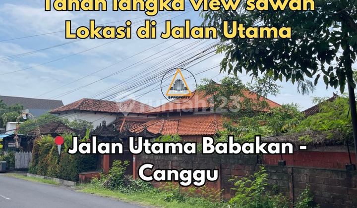 Tanah Sangat Langka Jalan Utama Babakan Canggu dengan View Sawah Tanah Sangat Langka Jalan Utama Babakan Canggu dengan View Sawah